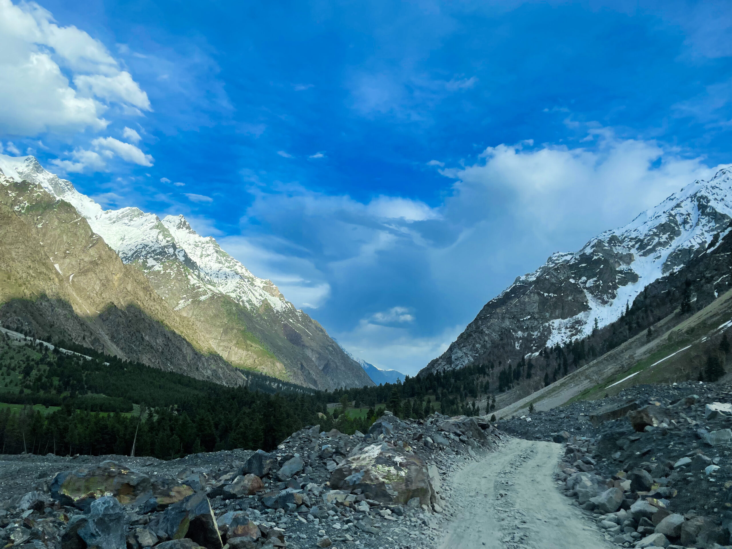 rocky-mountain-meadow-with-larch-trees-mountain-range-background